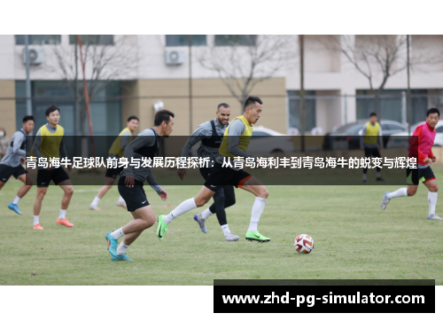 青岛海牛足球队前身与发展历程探析：从青岛海利丰到青岛海牛的蜕变与辉煌