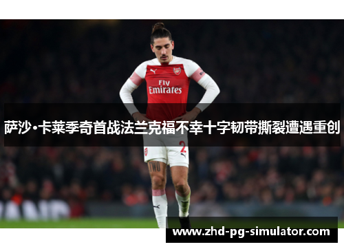 萨沙·卡莱季奇首战法兰克福不幸十字韧带撕裂遭遇重创